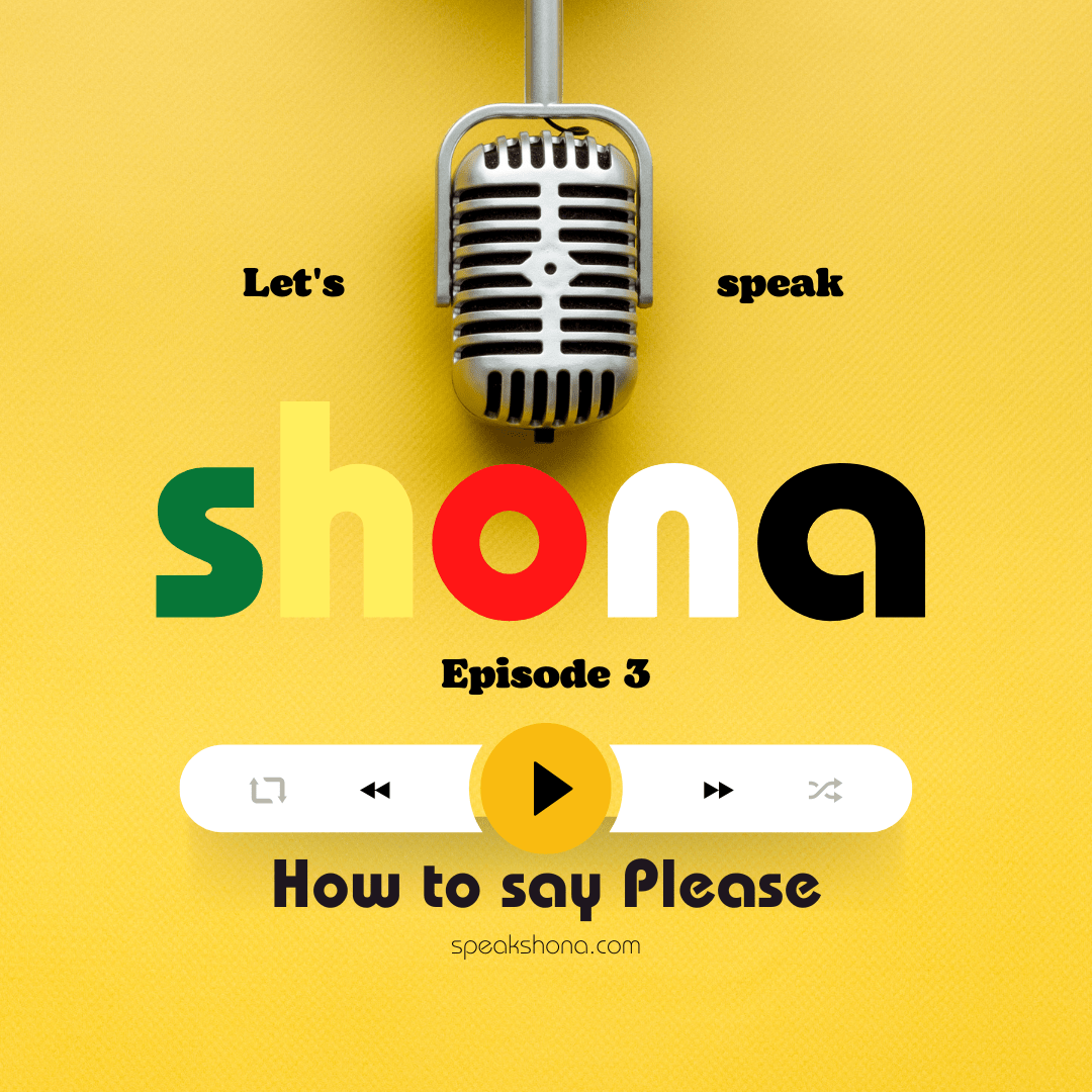 Beginner – Speak Shona | Learn Shona Language | Shona Courses and Resources